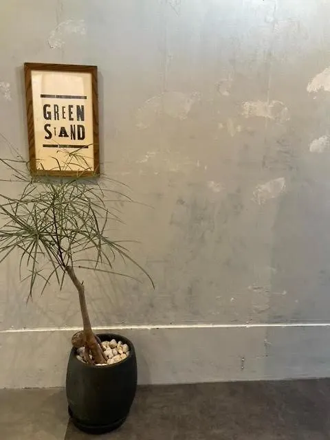 Вилла Airport Right Fukuoka Дом отдыха